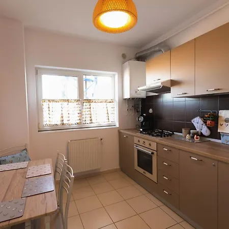 Apartment Zorilor View