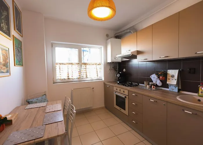 Apartament Zorilor View